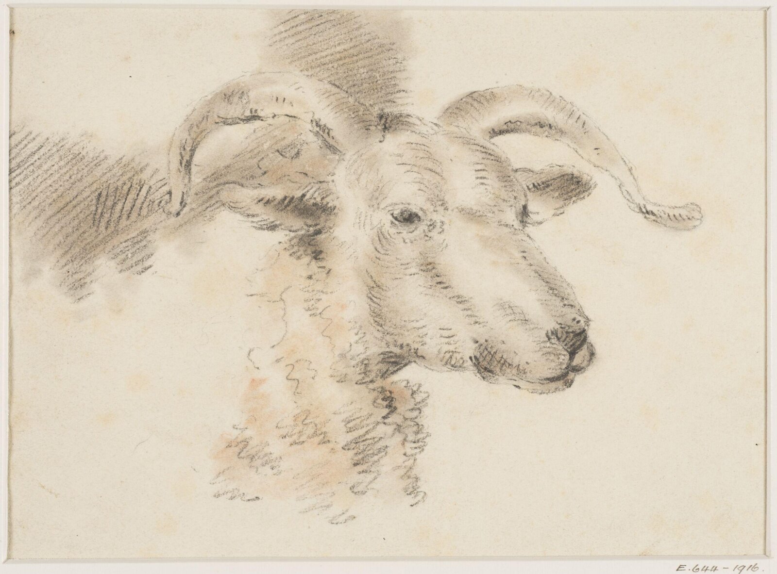 Head of a sheep, Thomas Sidney Cooper, mid 19th century