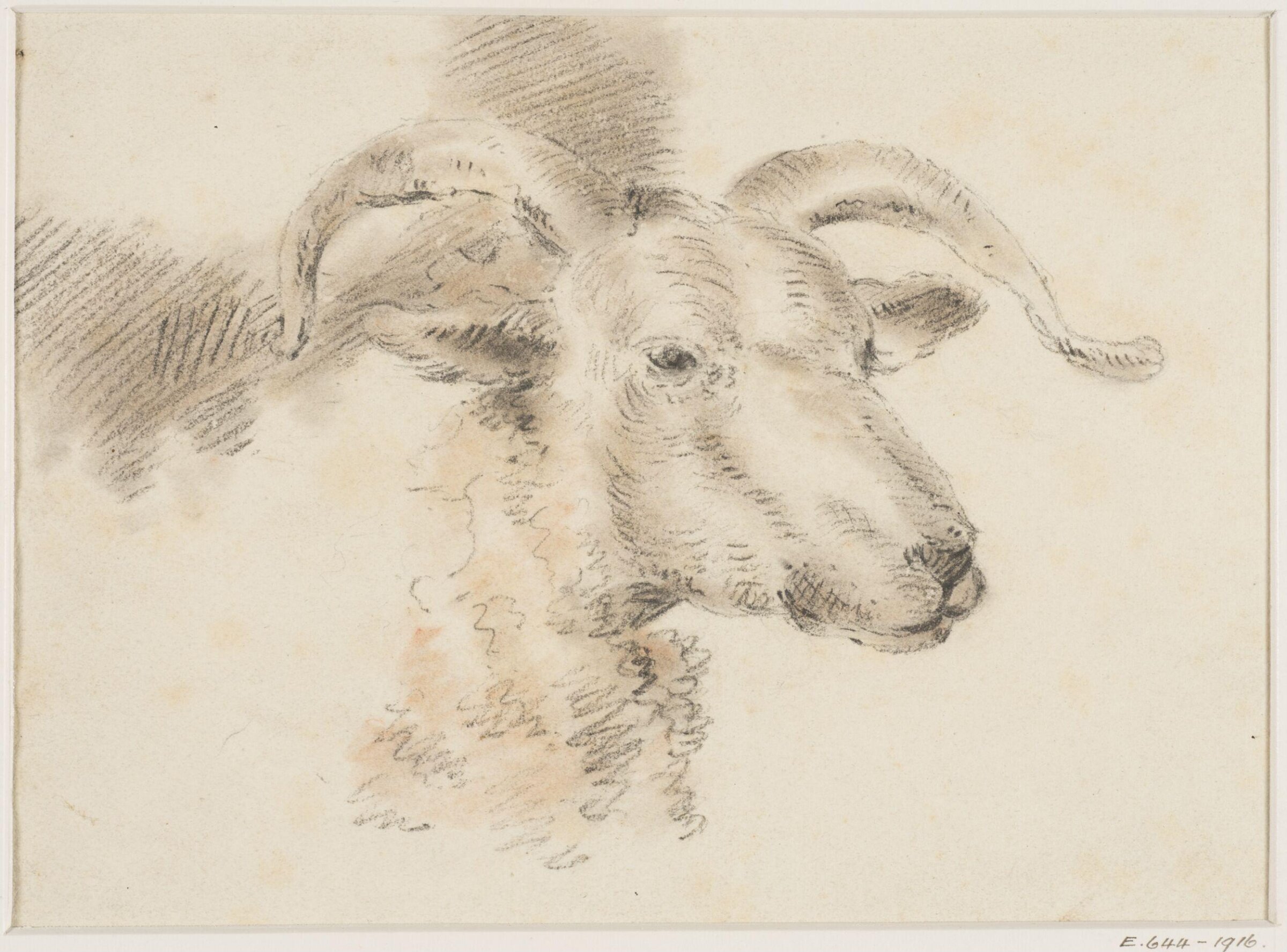 Head of a sheep, Thomas Sidney Cooper, mid 19th century