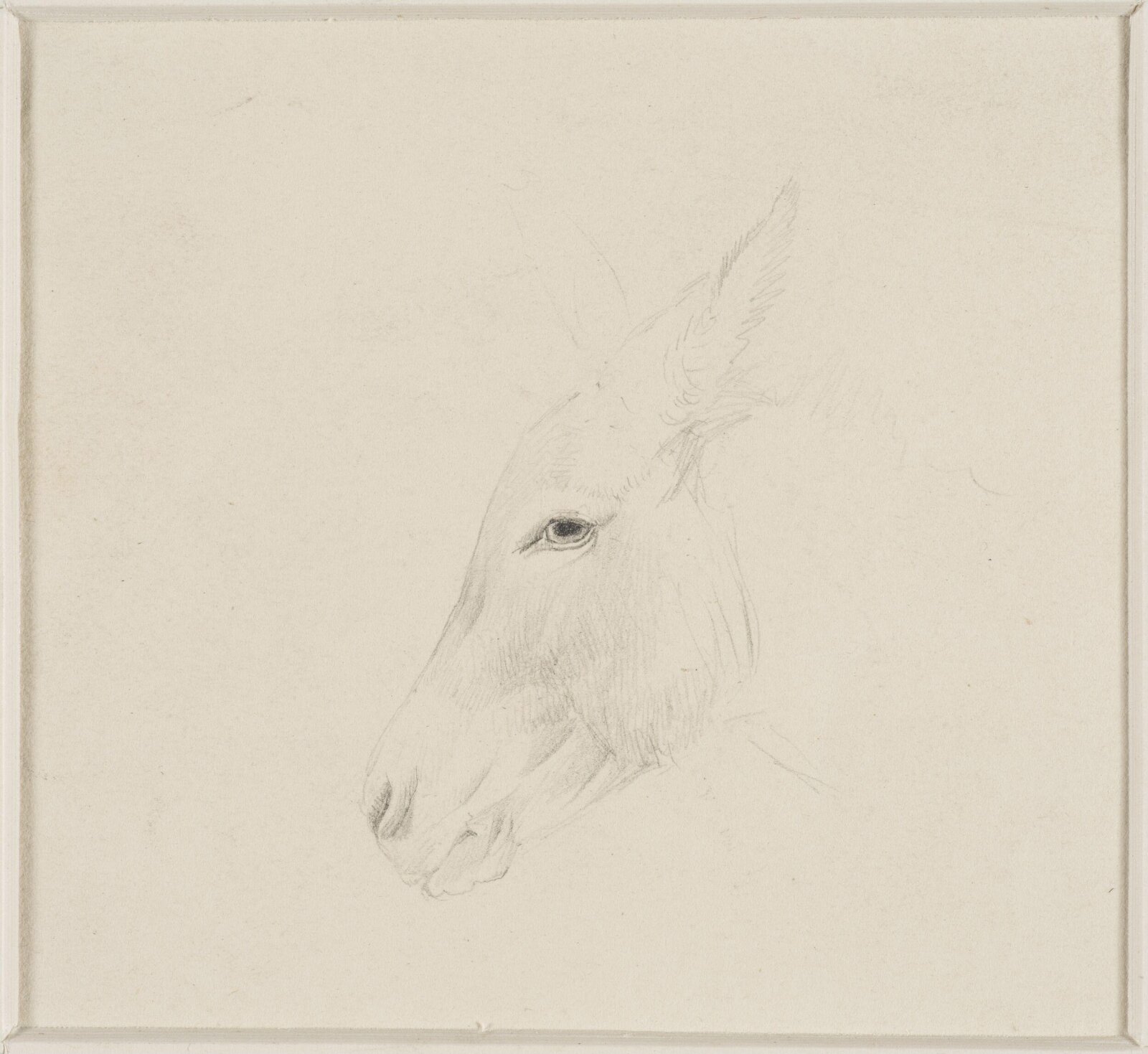 Head of a donkey, Thomas Sidney Cooper, mid 19th century