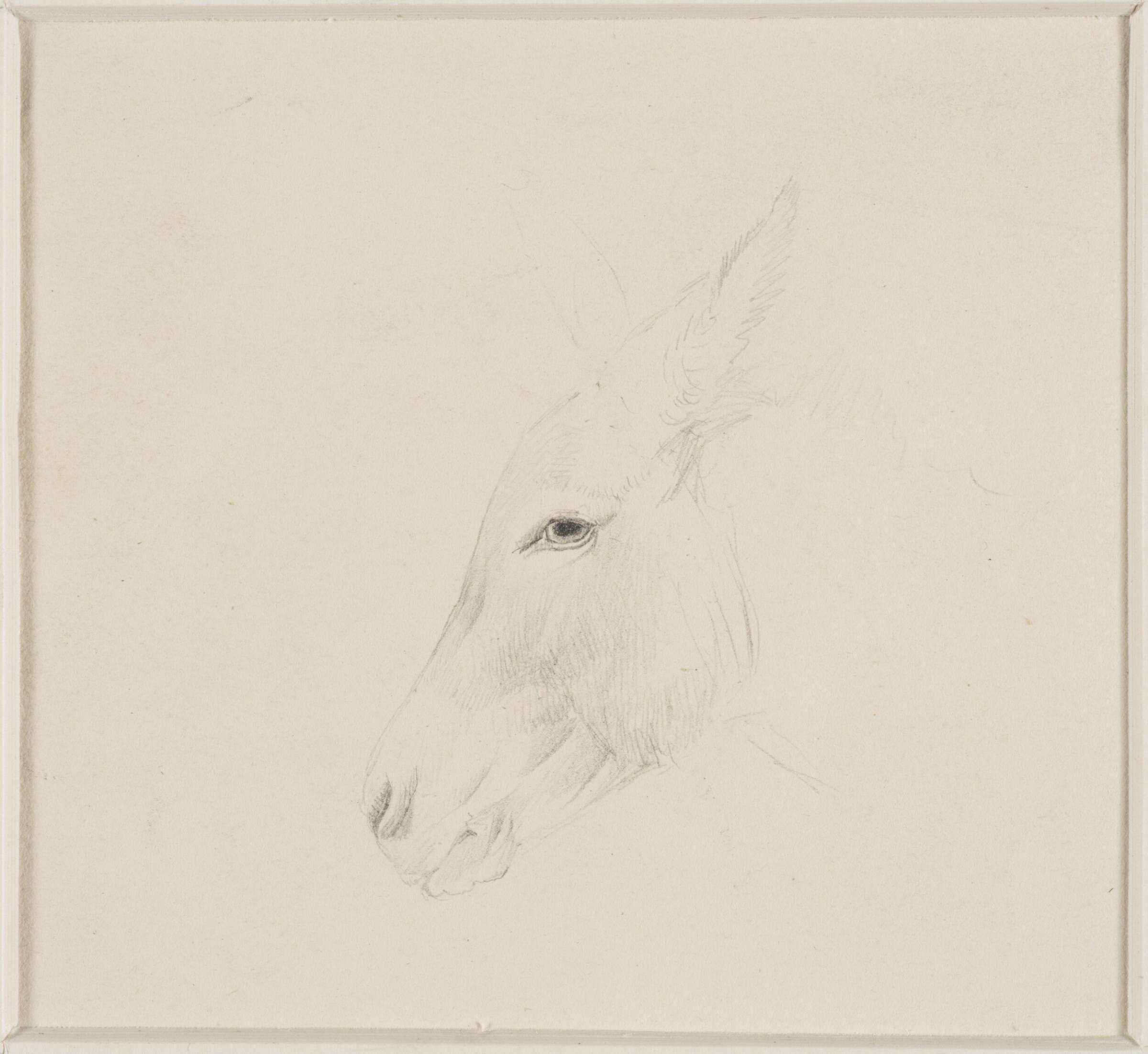 Head of a donkey, Thomas Sidney Cooper, mid 19th century