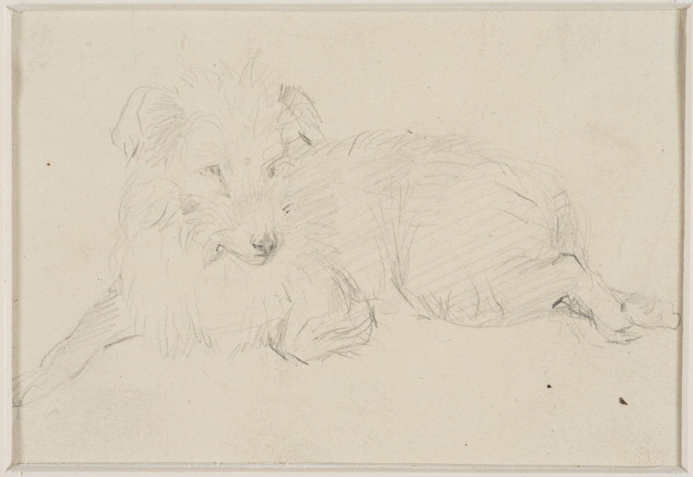 Sketch of a dog, Thomas Sidney Cooper, mid 19th century