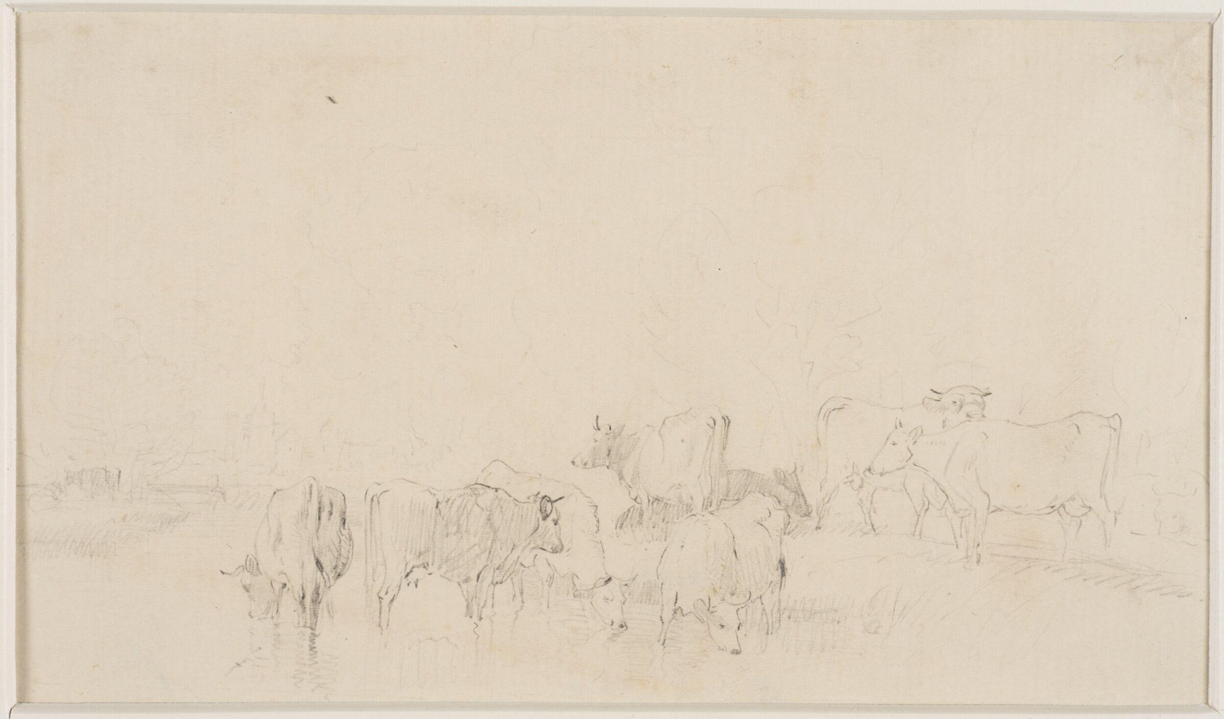 Sketch of cattle, Thomas Sidney Cooper, mid 19th century