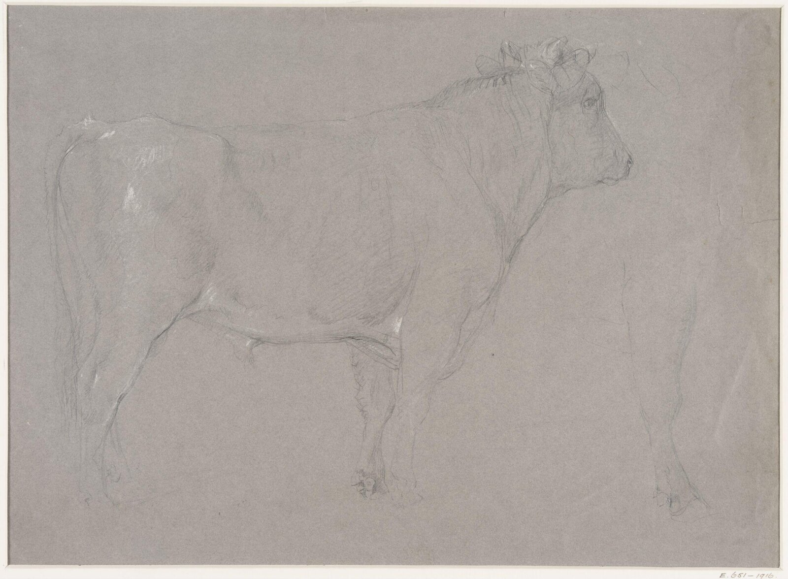 Study of a bull, Thomas Sidney Cooper, mid 19th century