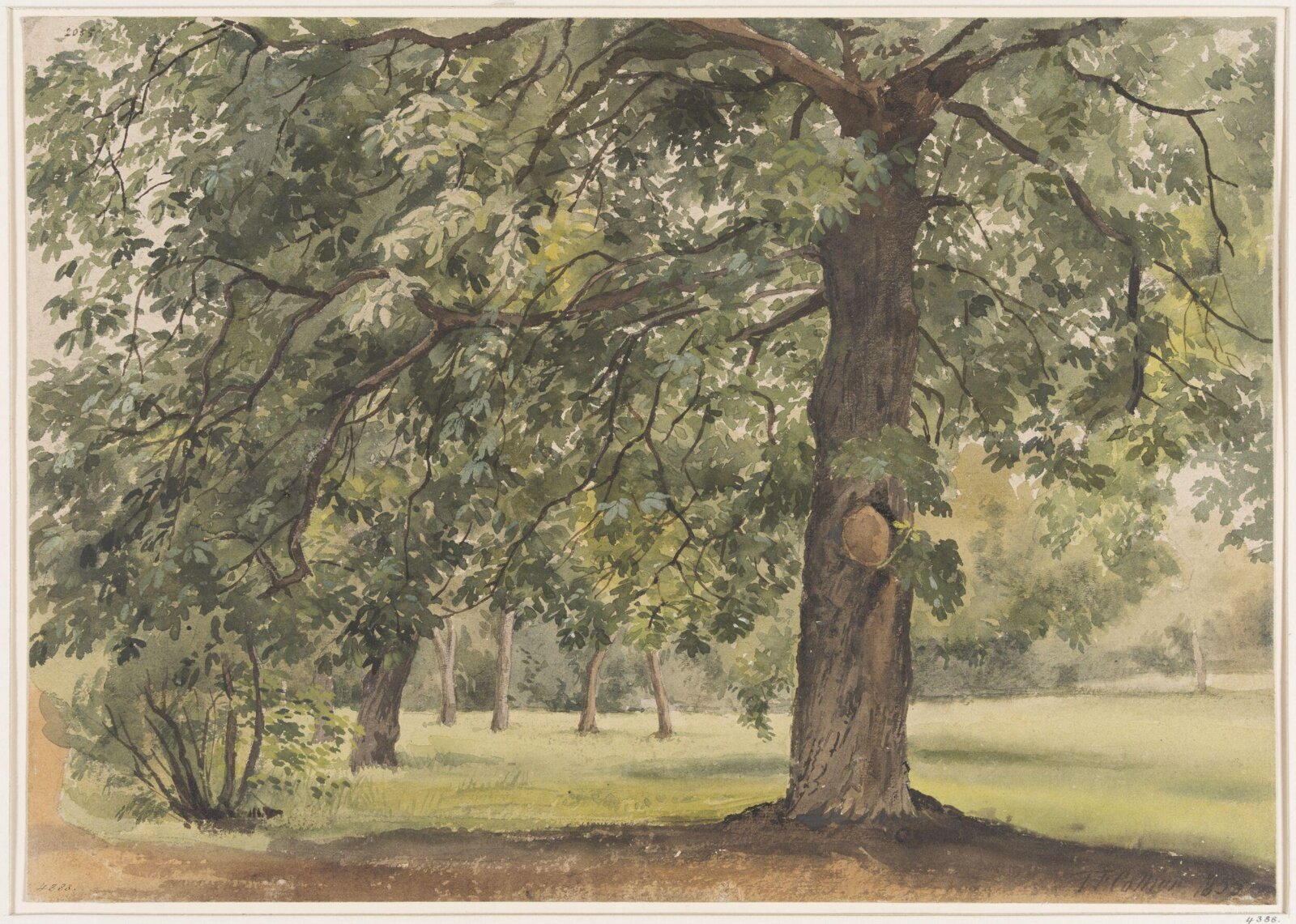 Landscape with Chestnut Tree in the foreground, Thomas Frederick Collier, 1855