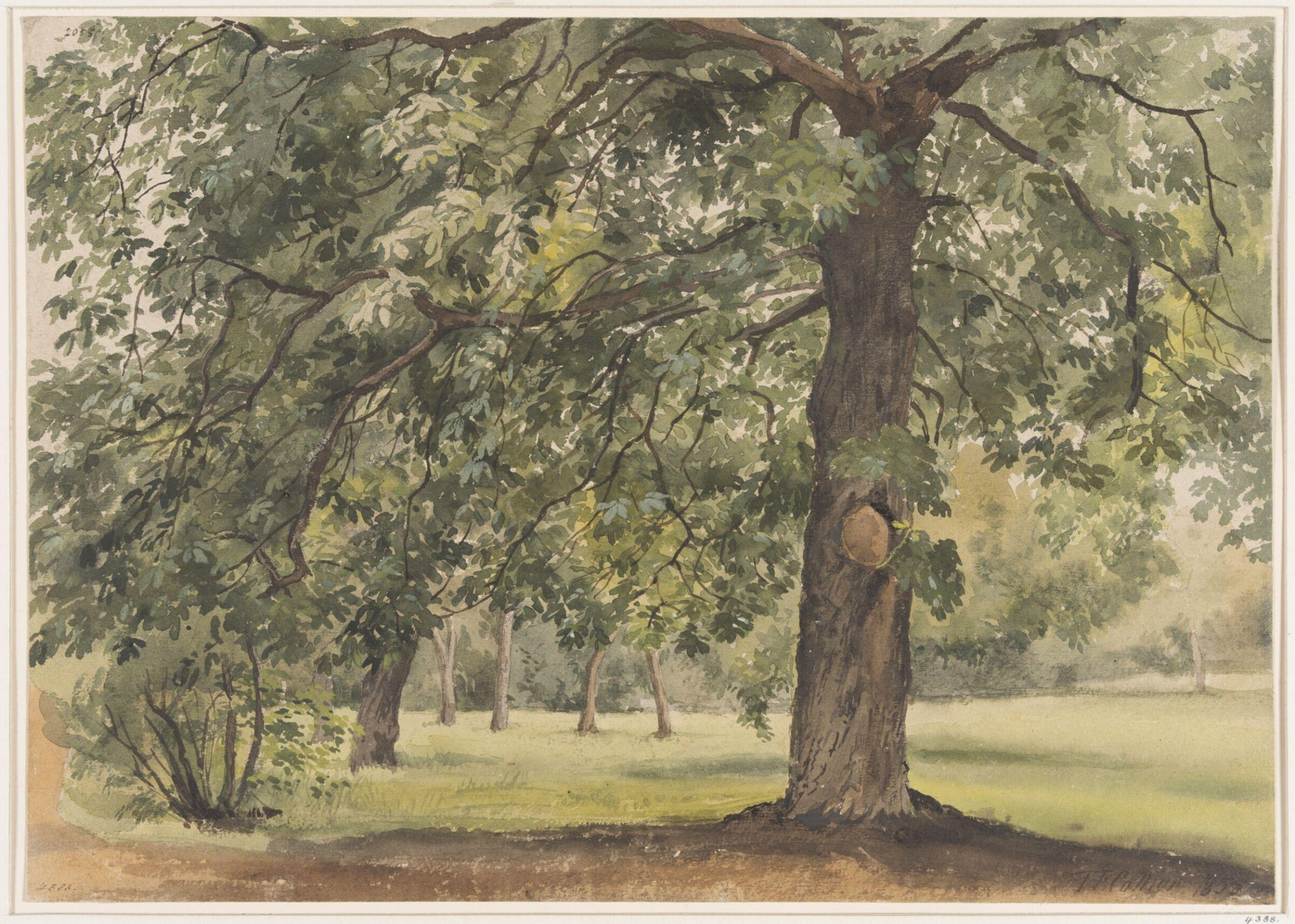 Landscape with Chestnut Tree in the foreground, Thomas Frederick Collier, 1855
