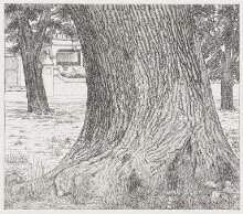 Oak tree trunk, Wimbledon Parkside thumbnail 1