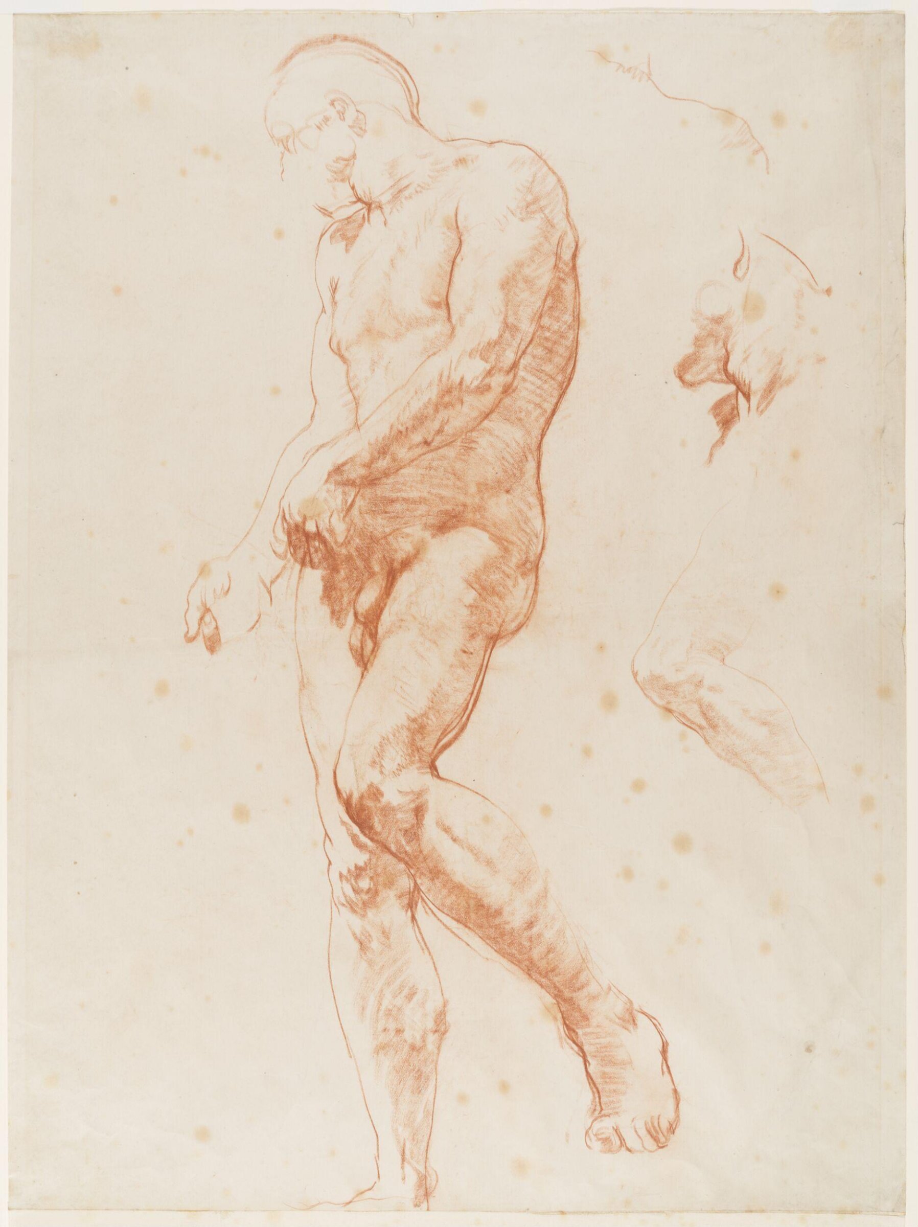 Drawing, Glyn Warren Philpot