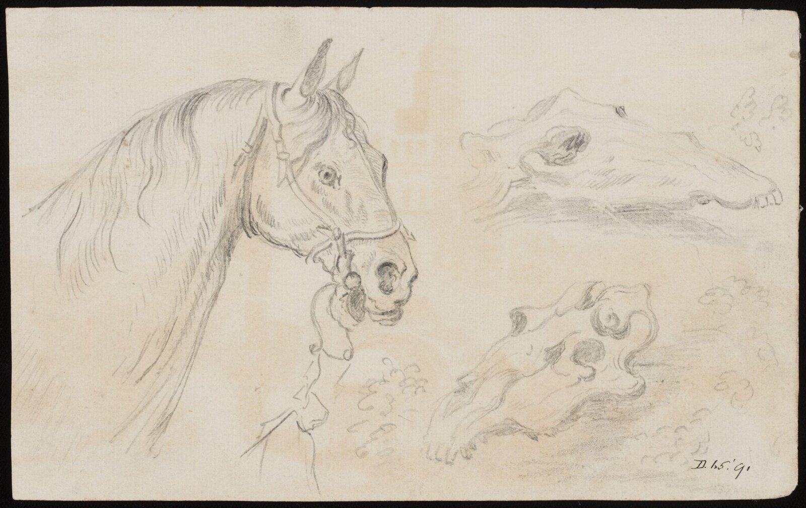 Drawing