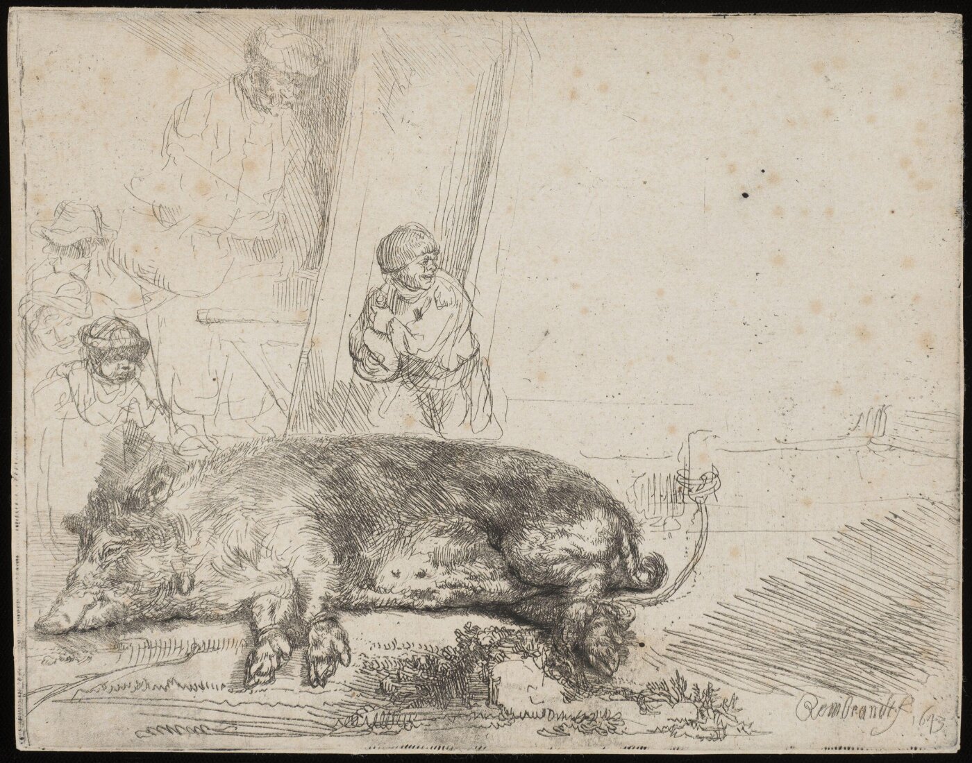 Rembrandt van Rijn, The Hog