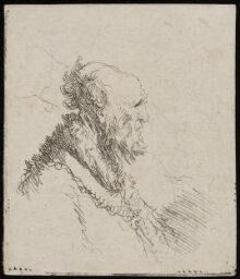 Bald old man with a short beard, in profile right thumbnail 1