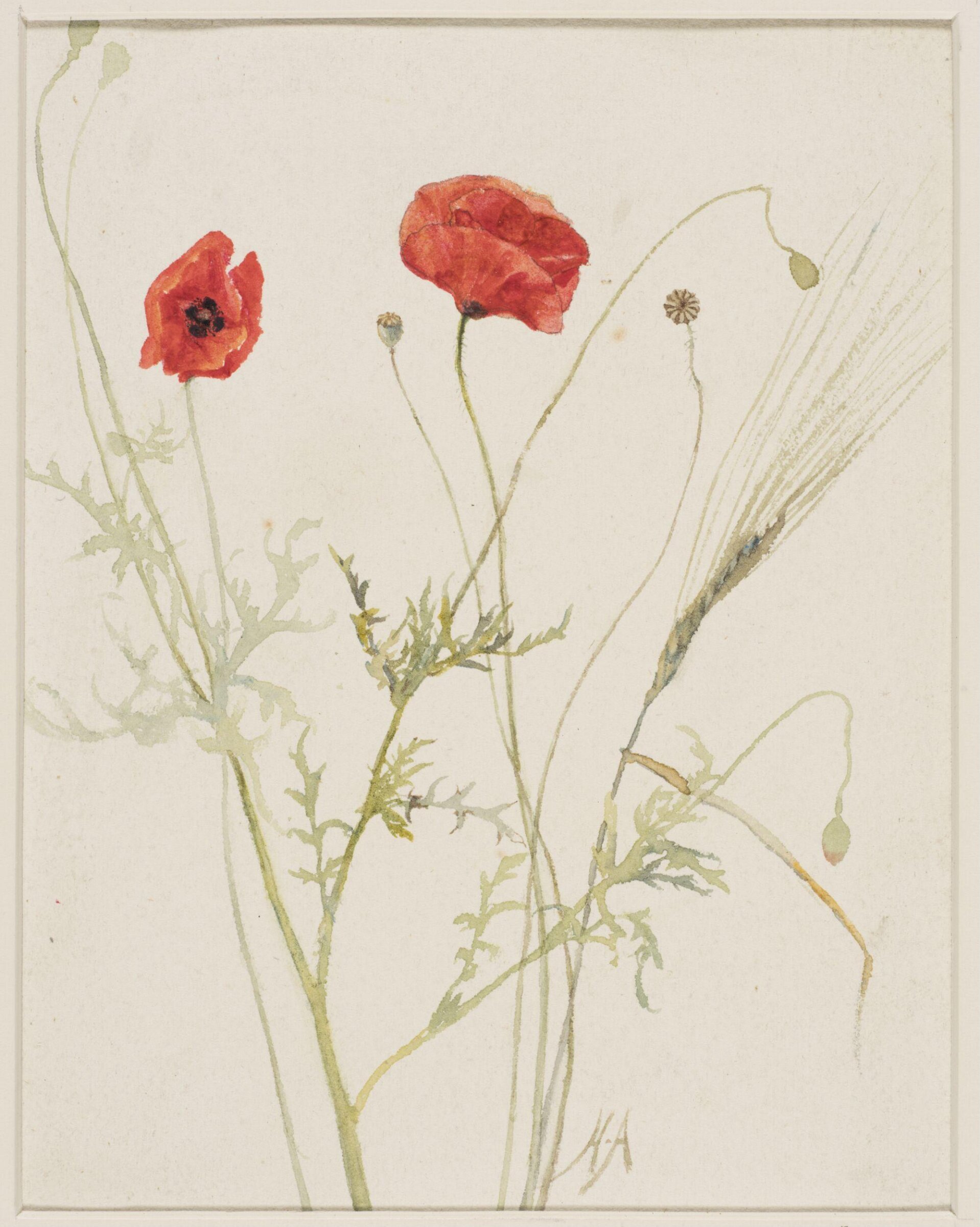 Drawing, Helen Allingham, late 19th-early 20th century