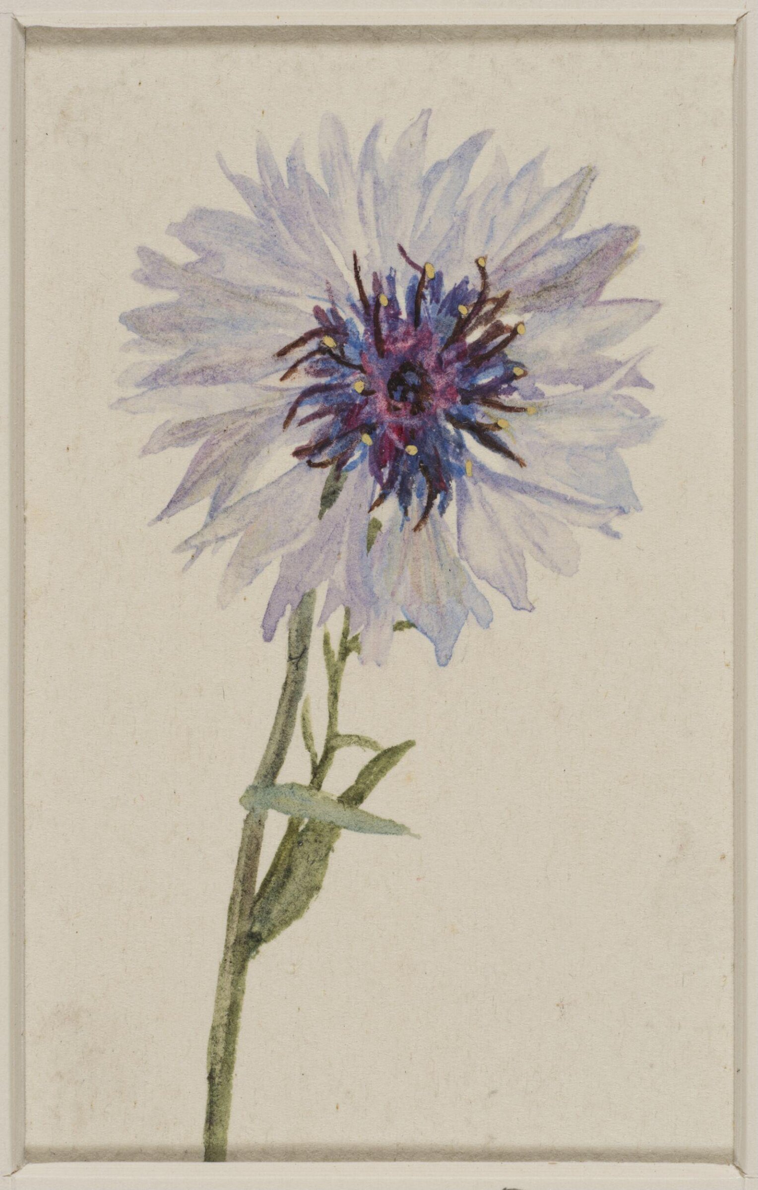 Drawing, Helen Allingham, late 19th-early 20th century
