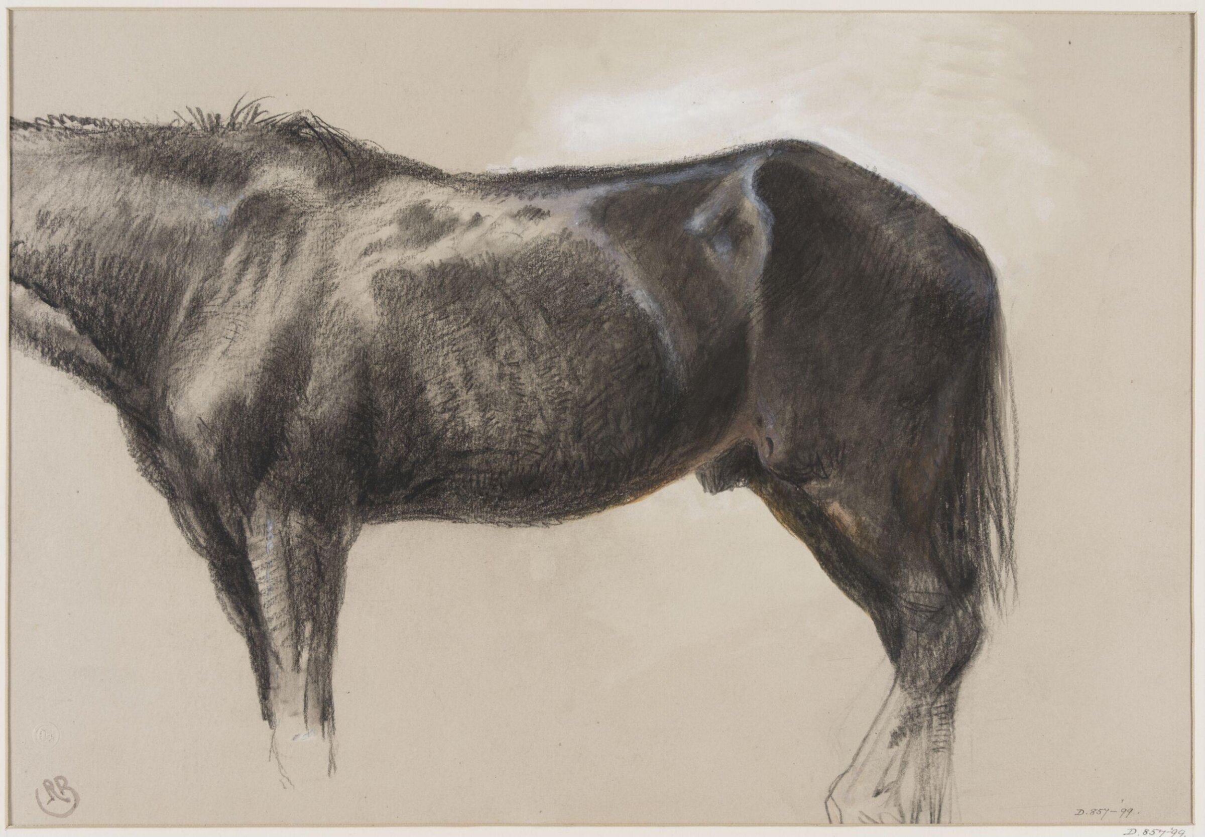 Studies of Horses, Richard Beavis