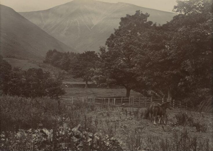 View of Skiddaw top image