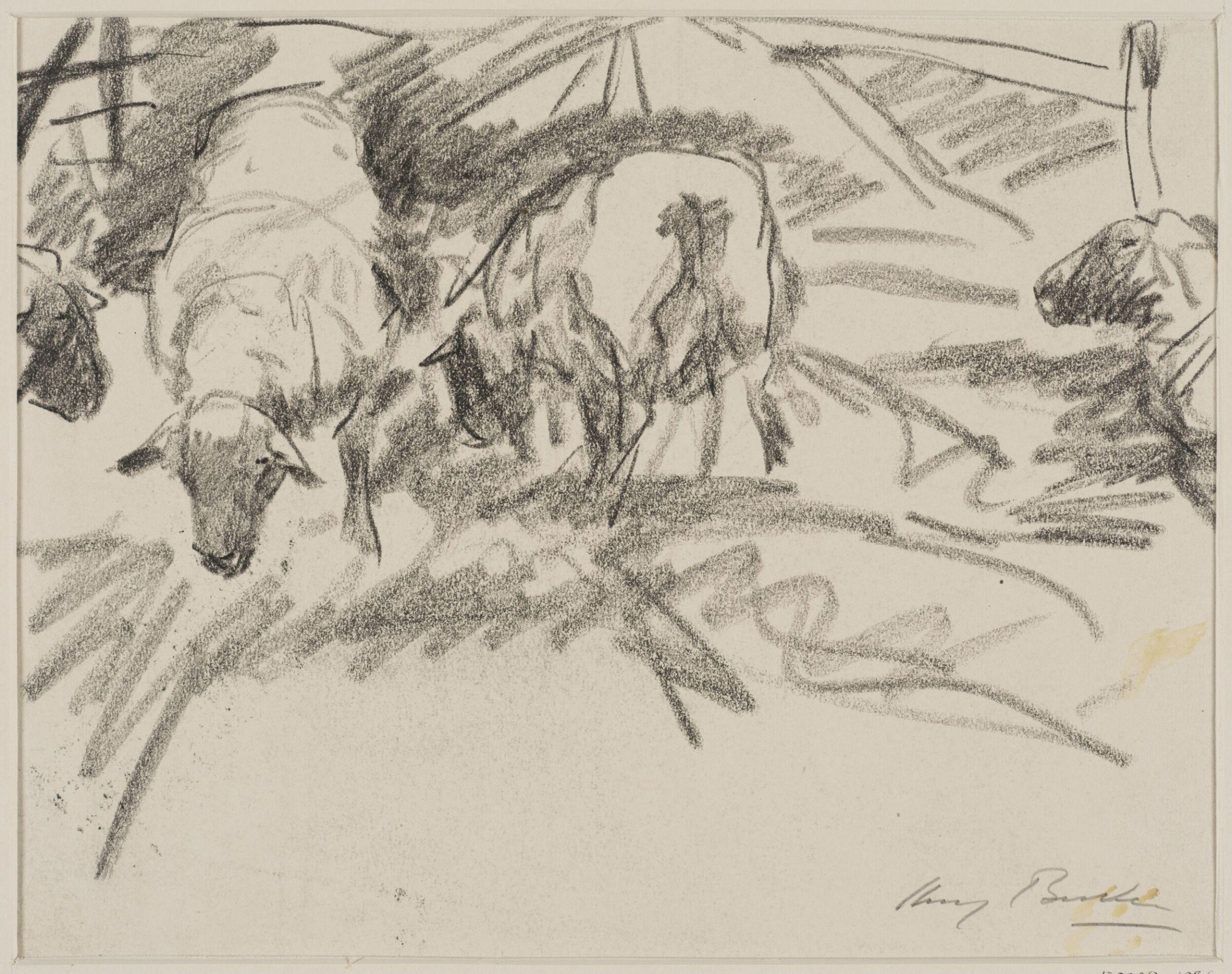 Sheep, Harry Becker, 1912-1928
