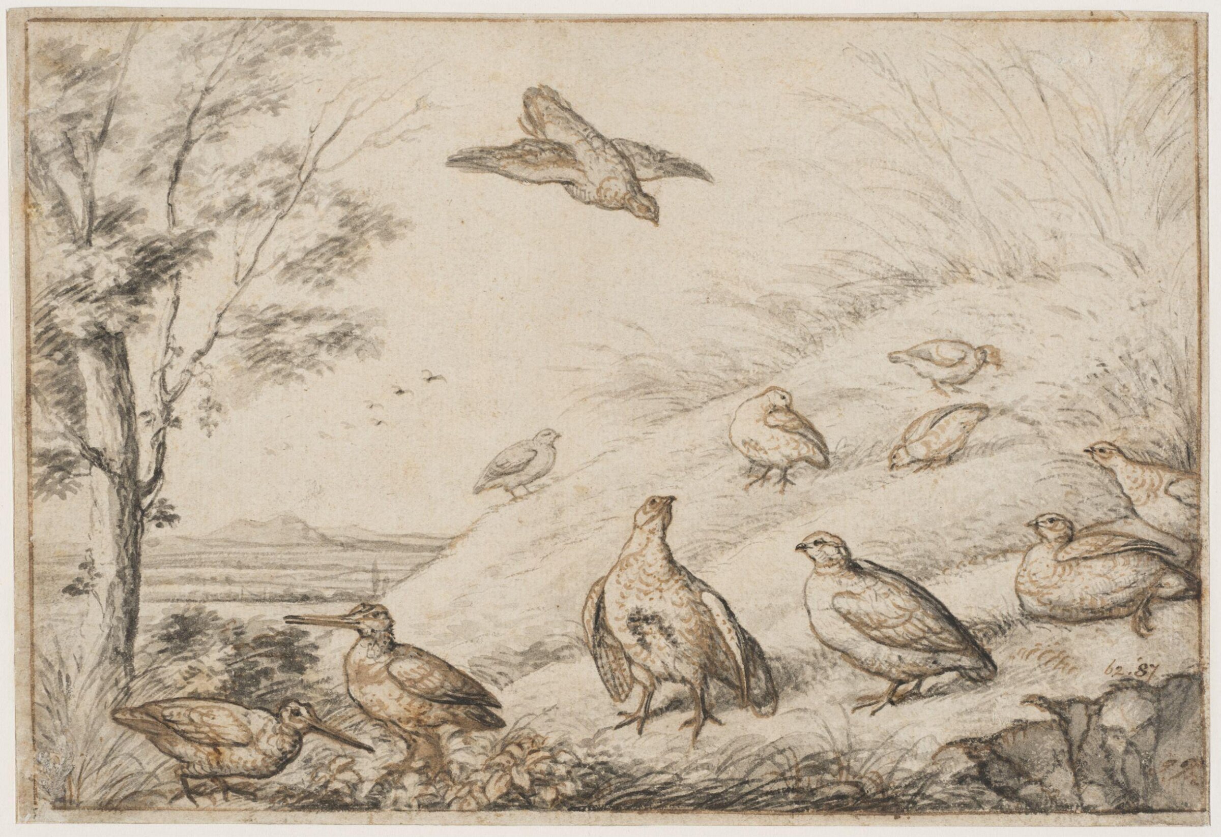 Partridges and snipe, Francis Barlow, ca. 1650-1700