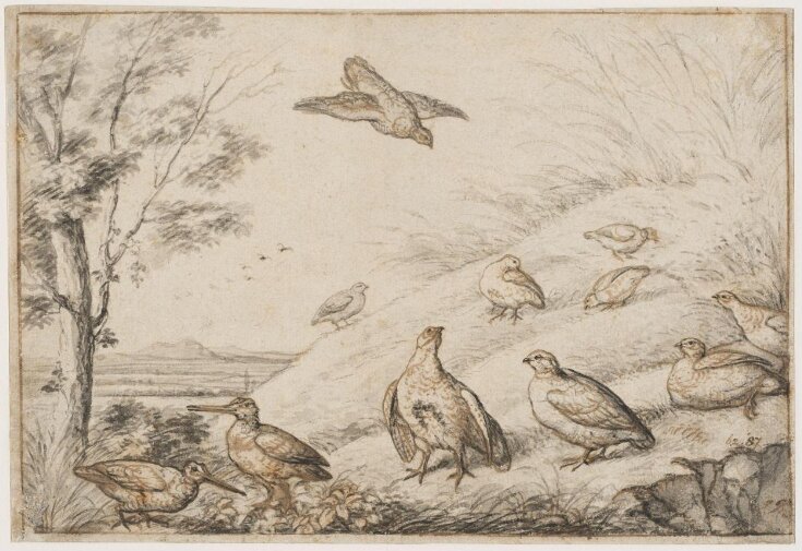 Partridges Signed Print, Bird Drawing, Wildlife Animal Art