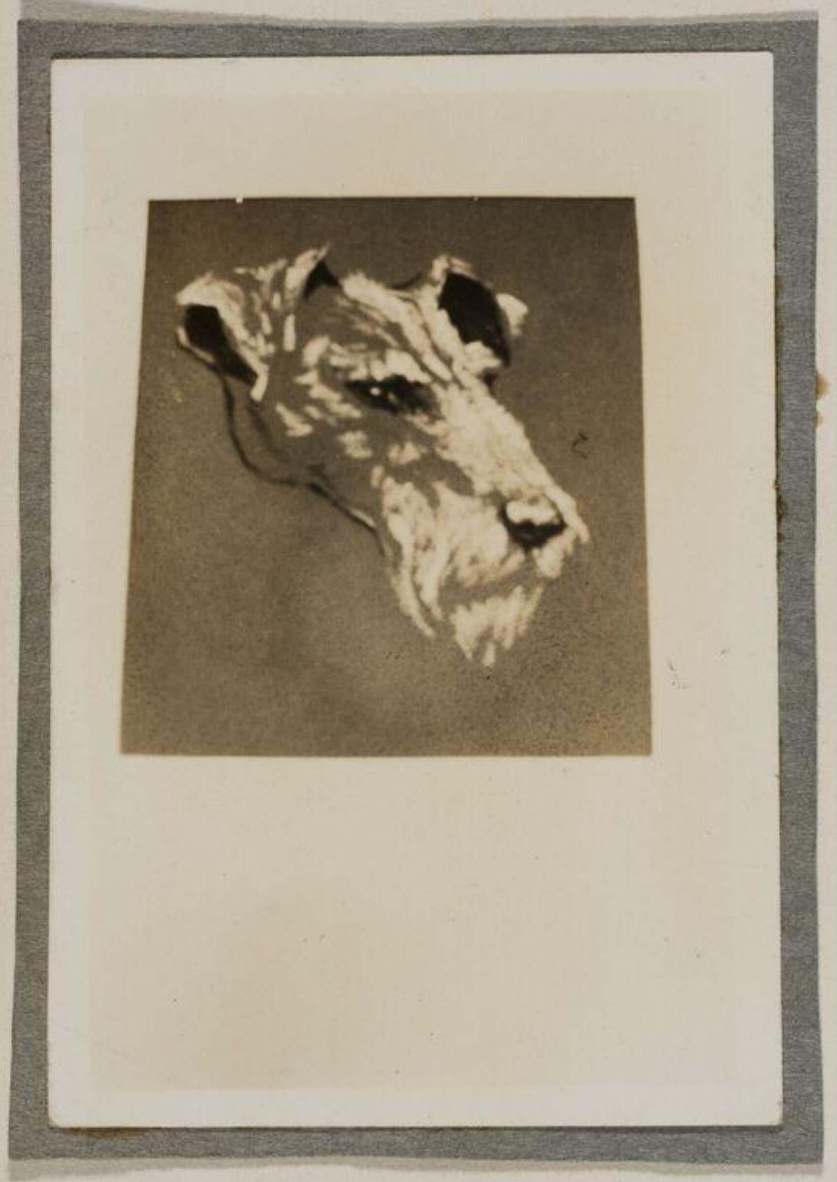 Drawing, Theyre Lee-Elliott, 20th century