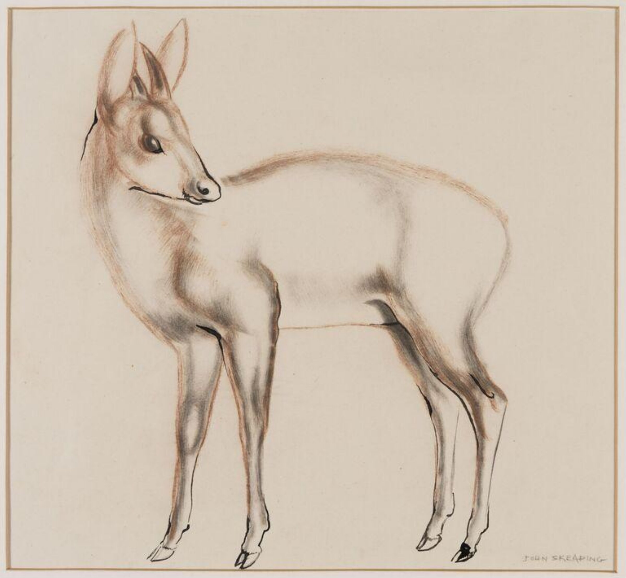 Antelope, probably a Dinken of the genus Cephalophus, John Rattenbury Skeaping