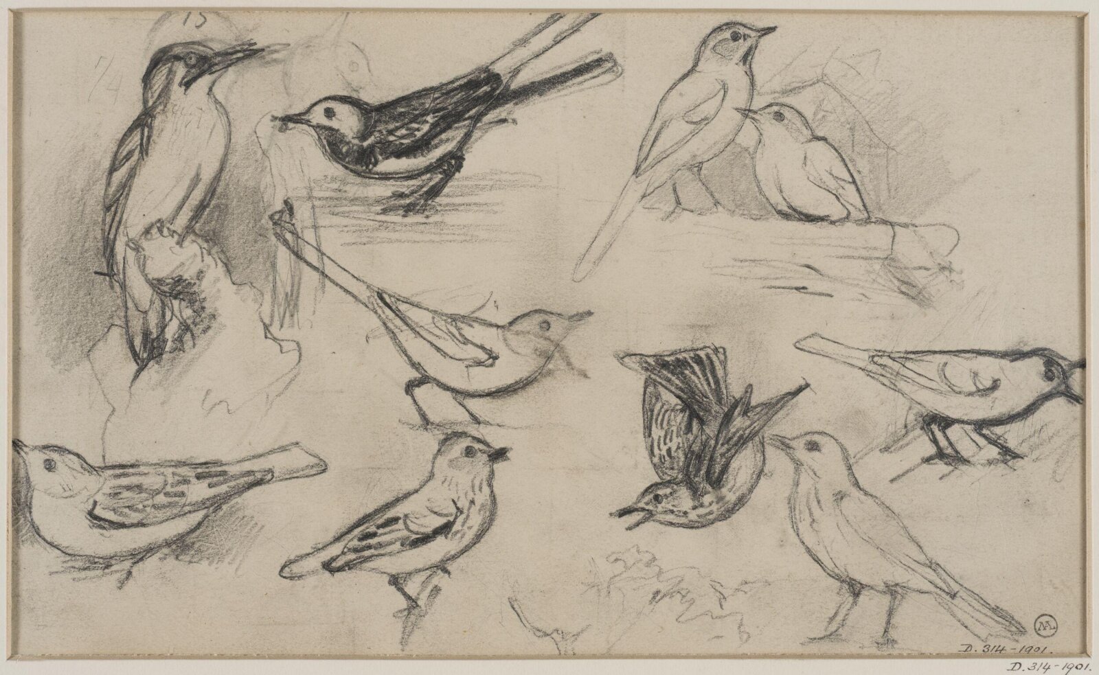 Drawing