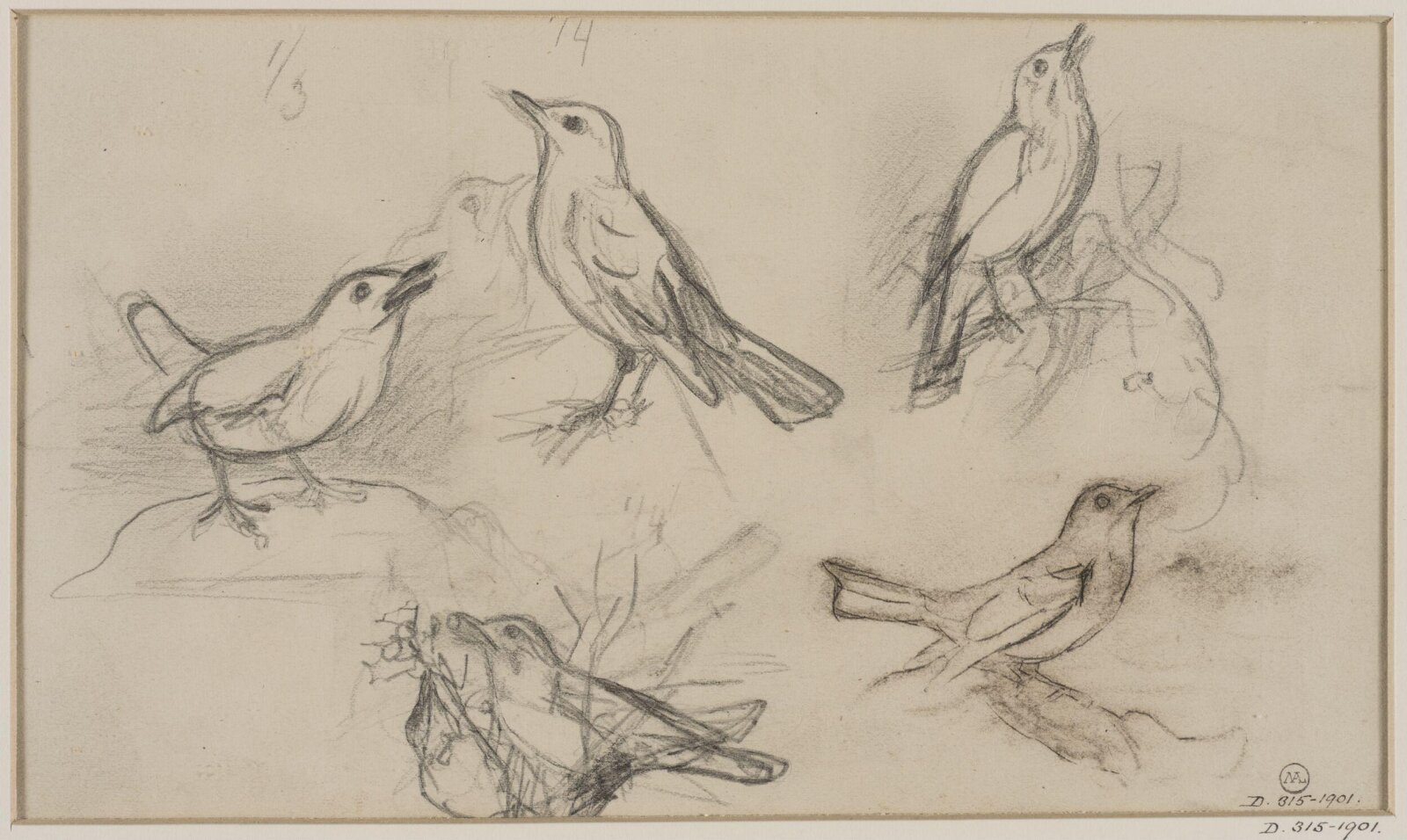 Drawing
