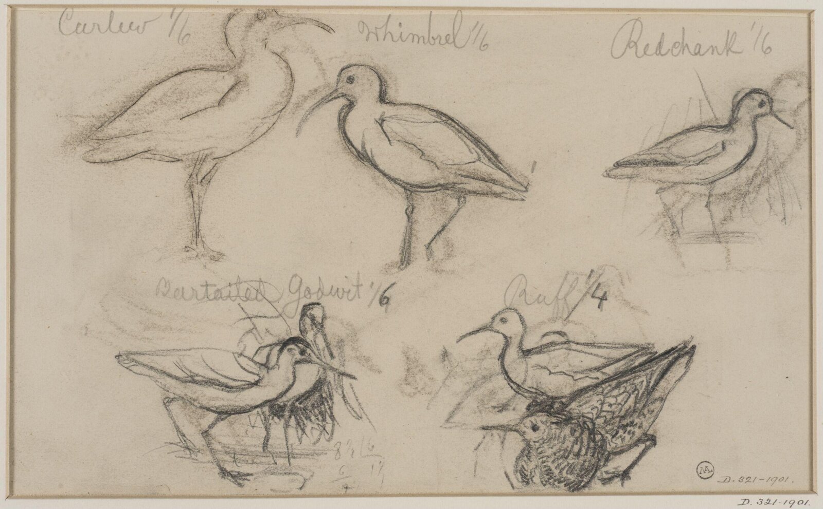 Drawing