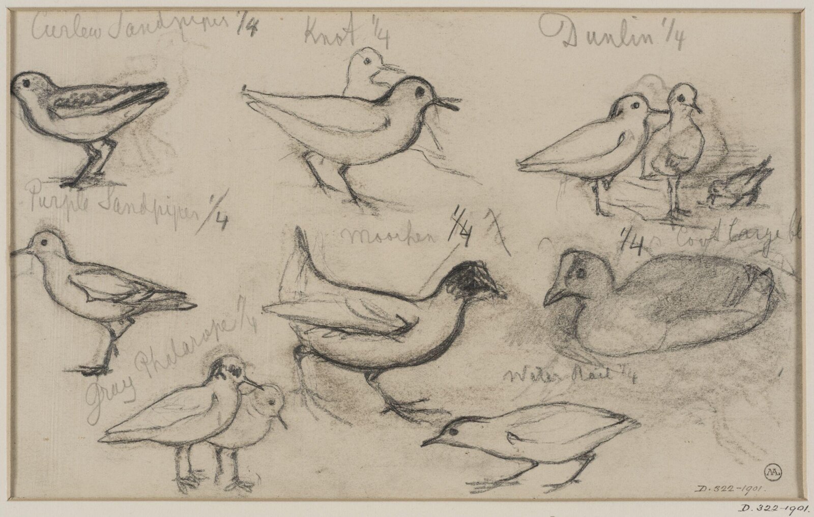 Drawing