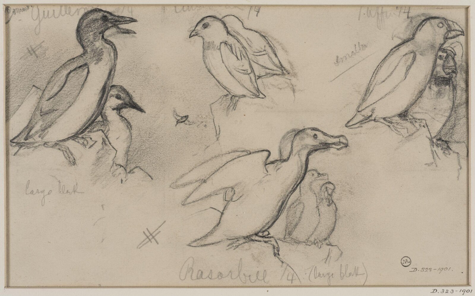 Drawing