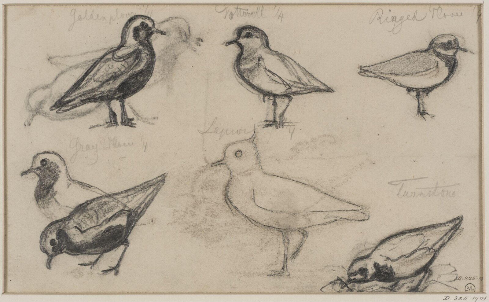 Drawing