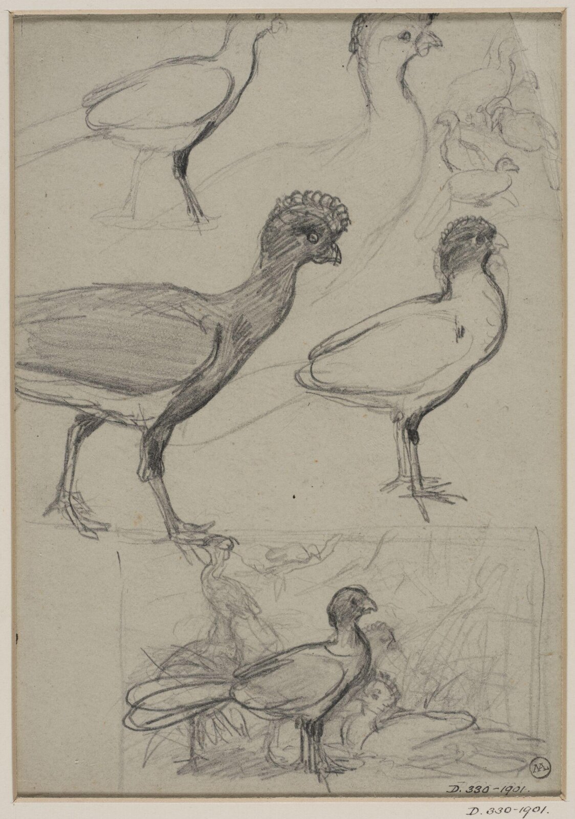 Drawing