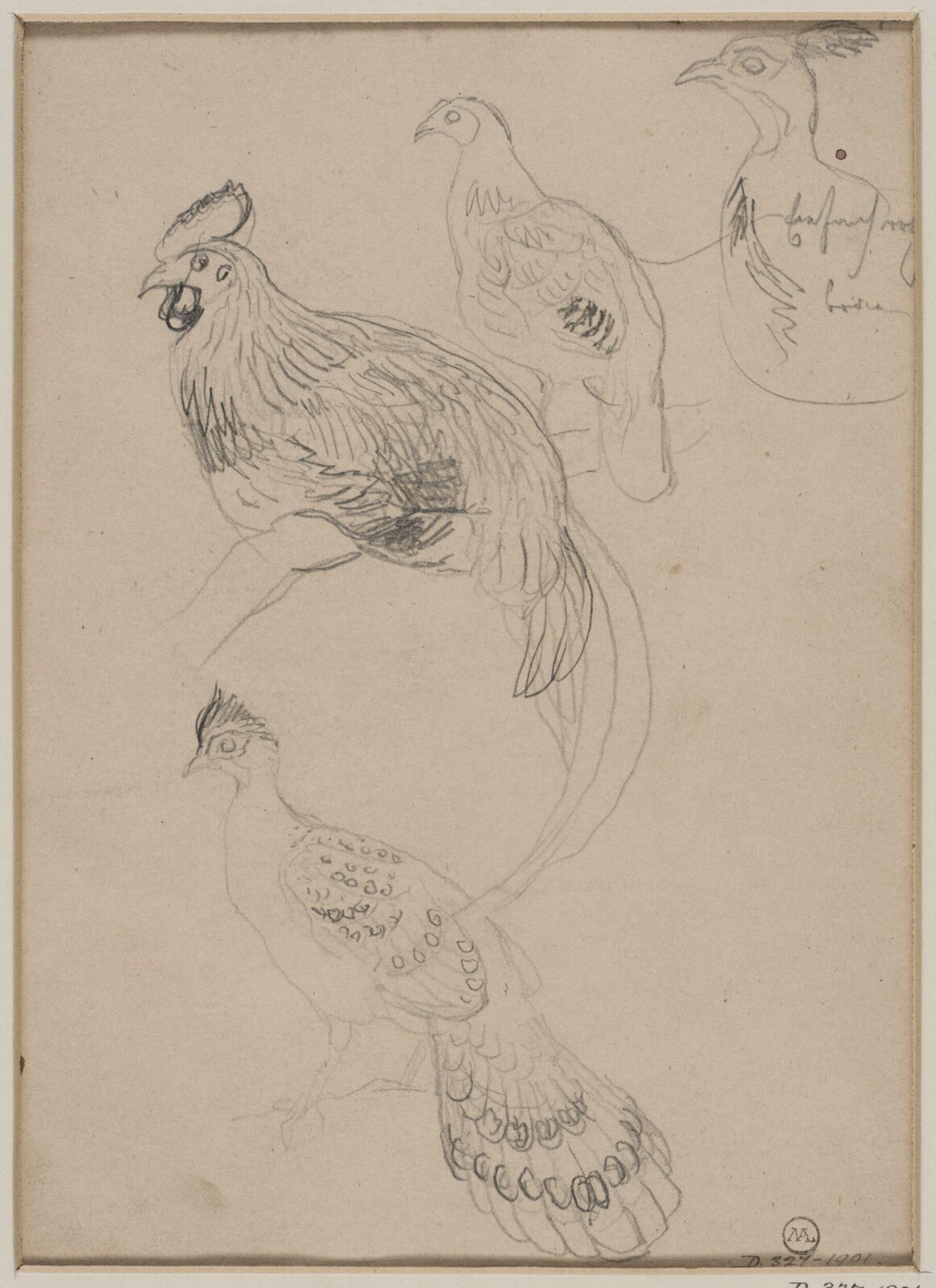Drawing