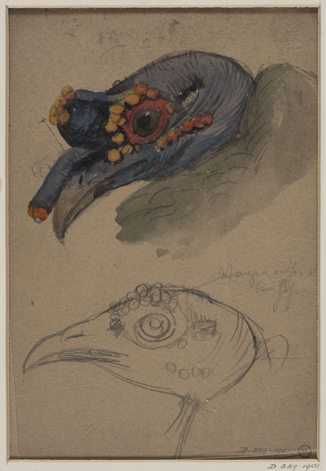 Drawing