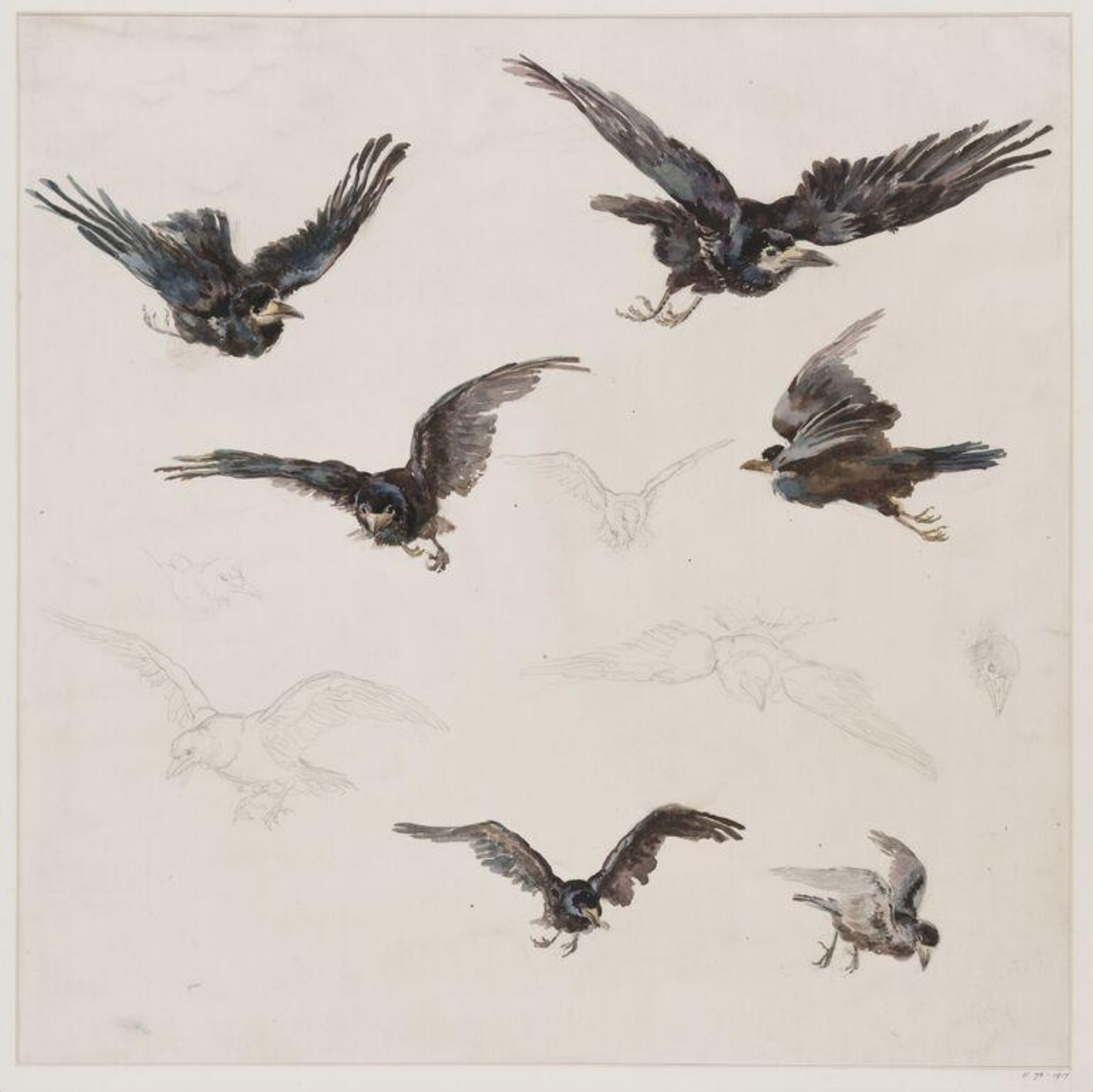 Drawing, Charlotte Horne Spiers, c. 1873-1914