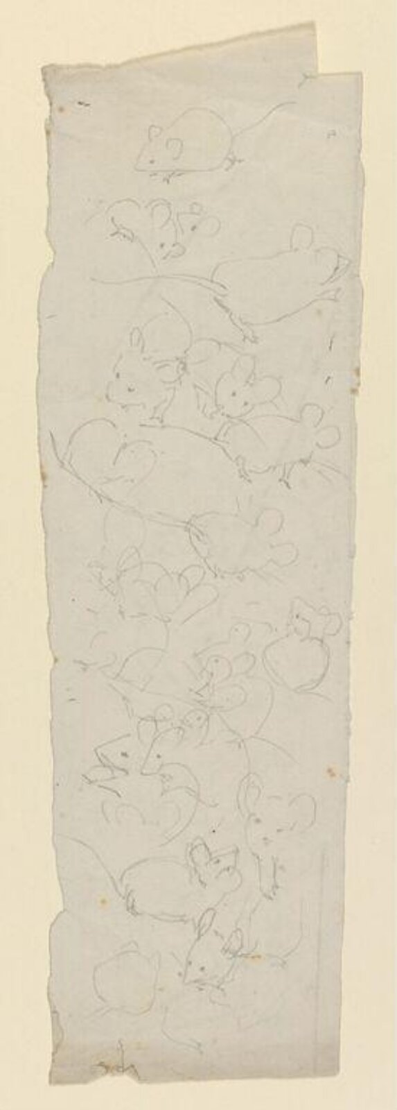 drawing, Beatrix Potter, ca. 1890-1900