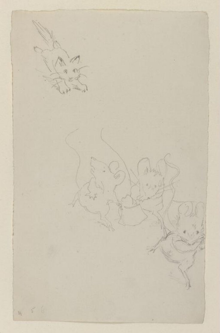 Three mice running away from a kitten top image