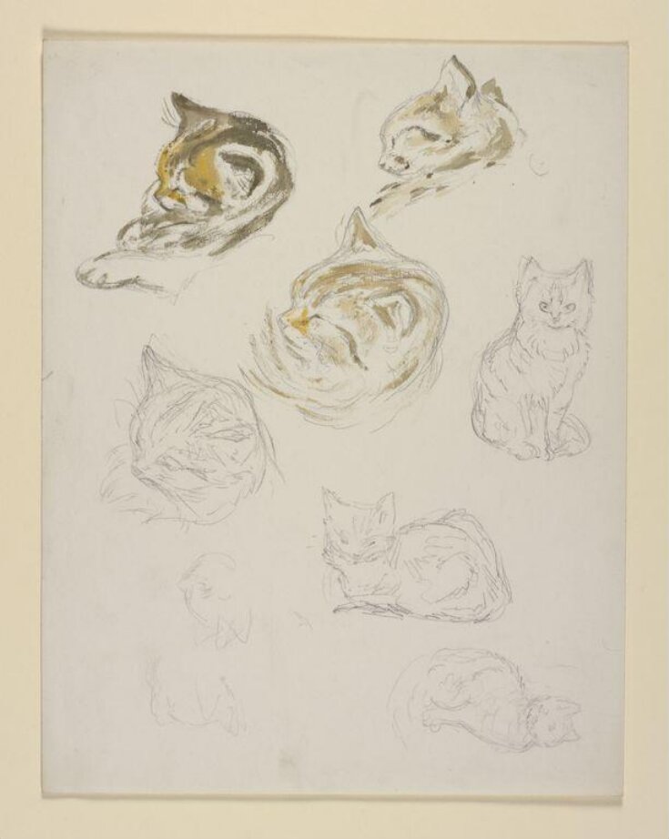 Studies of cats top image