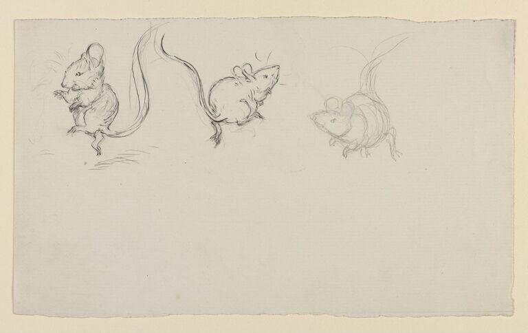 Studies of mice dancing by Beatrix Potter