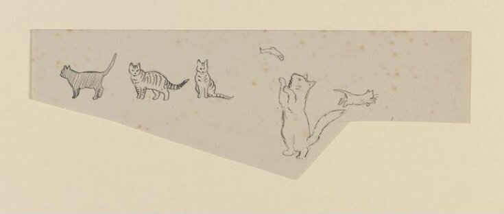 A cat playing with a fish, and other drawings of cats top image