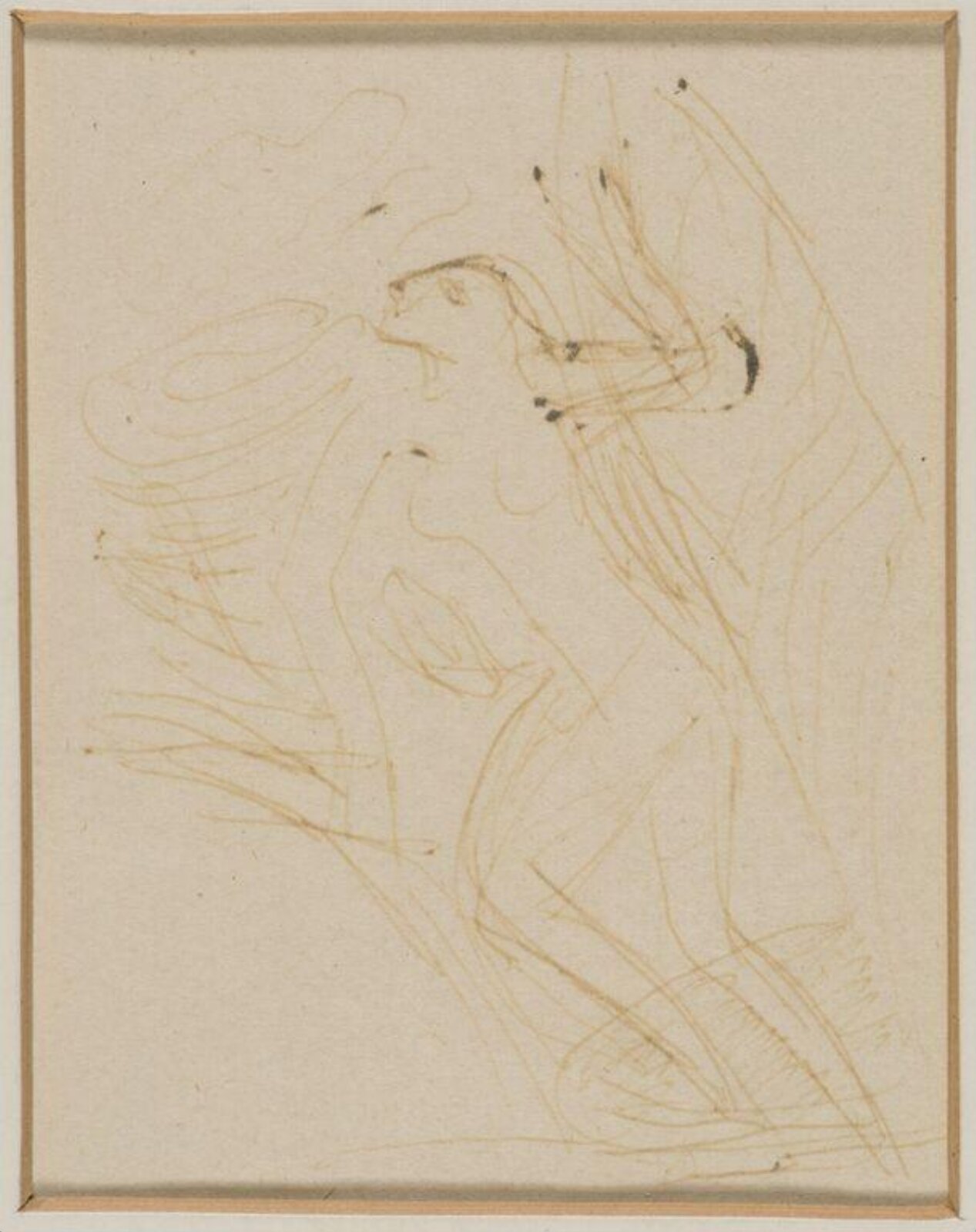 Drawing