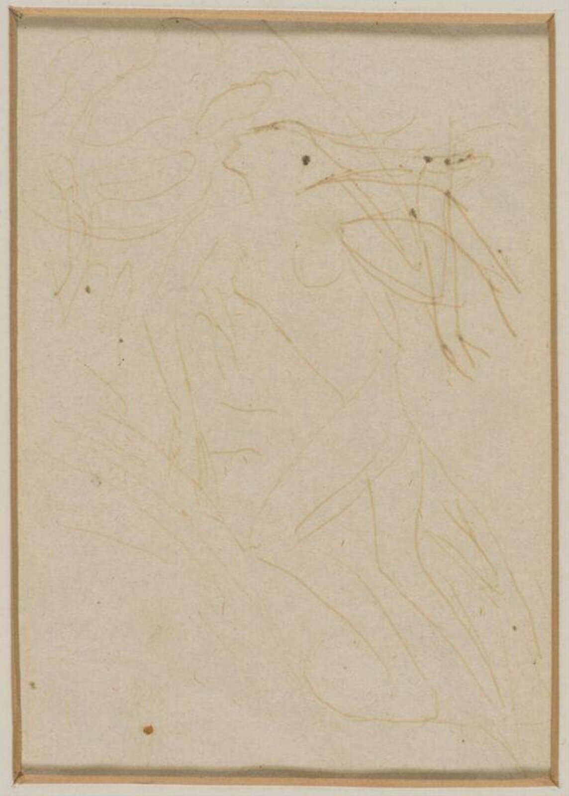 Drawing