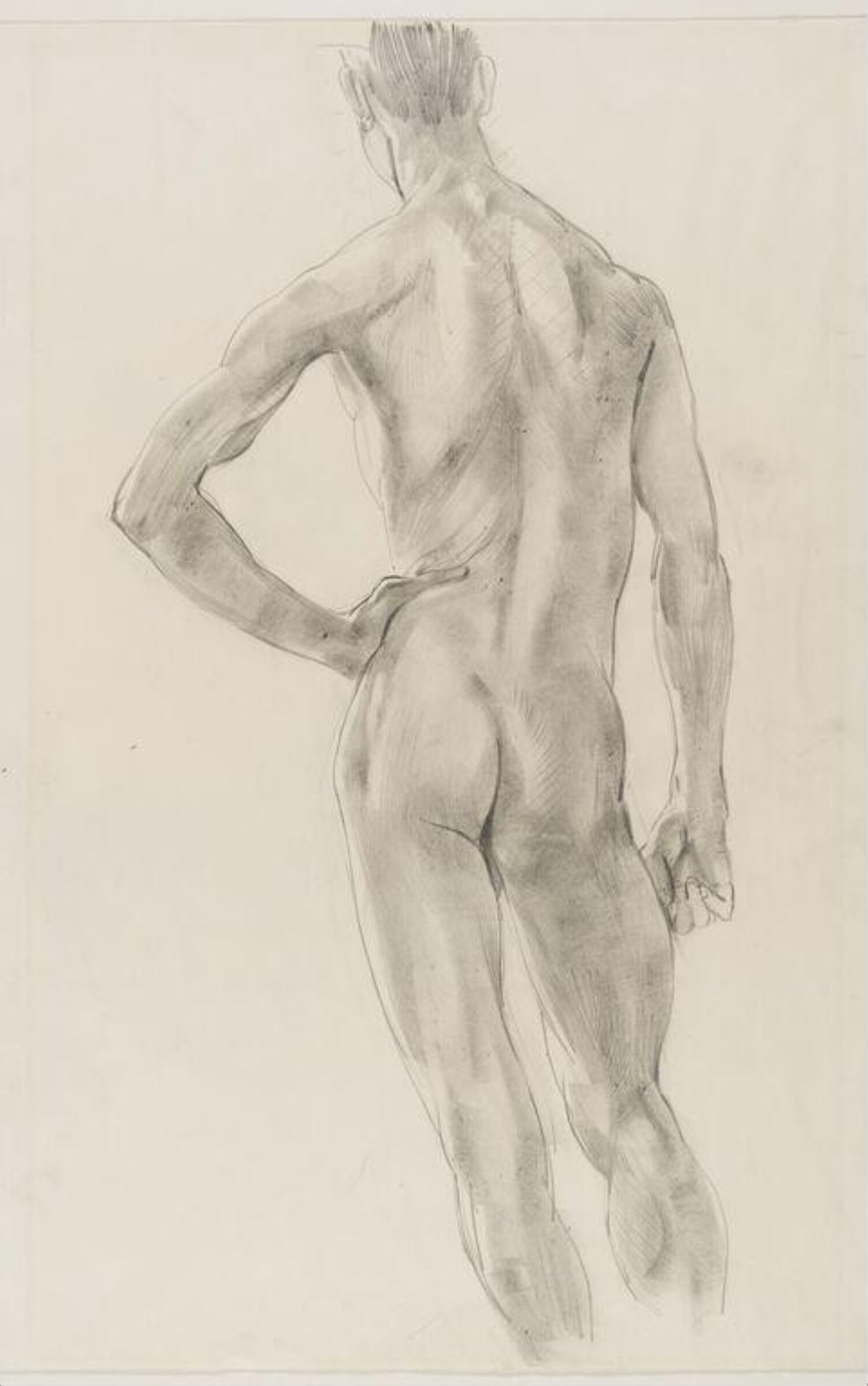 A male nude; two male heads, Edna Clarke Hall, ca. 1900-1935