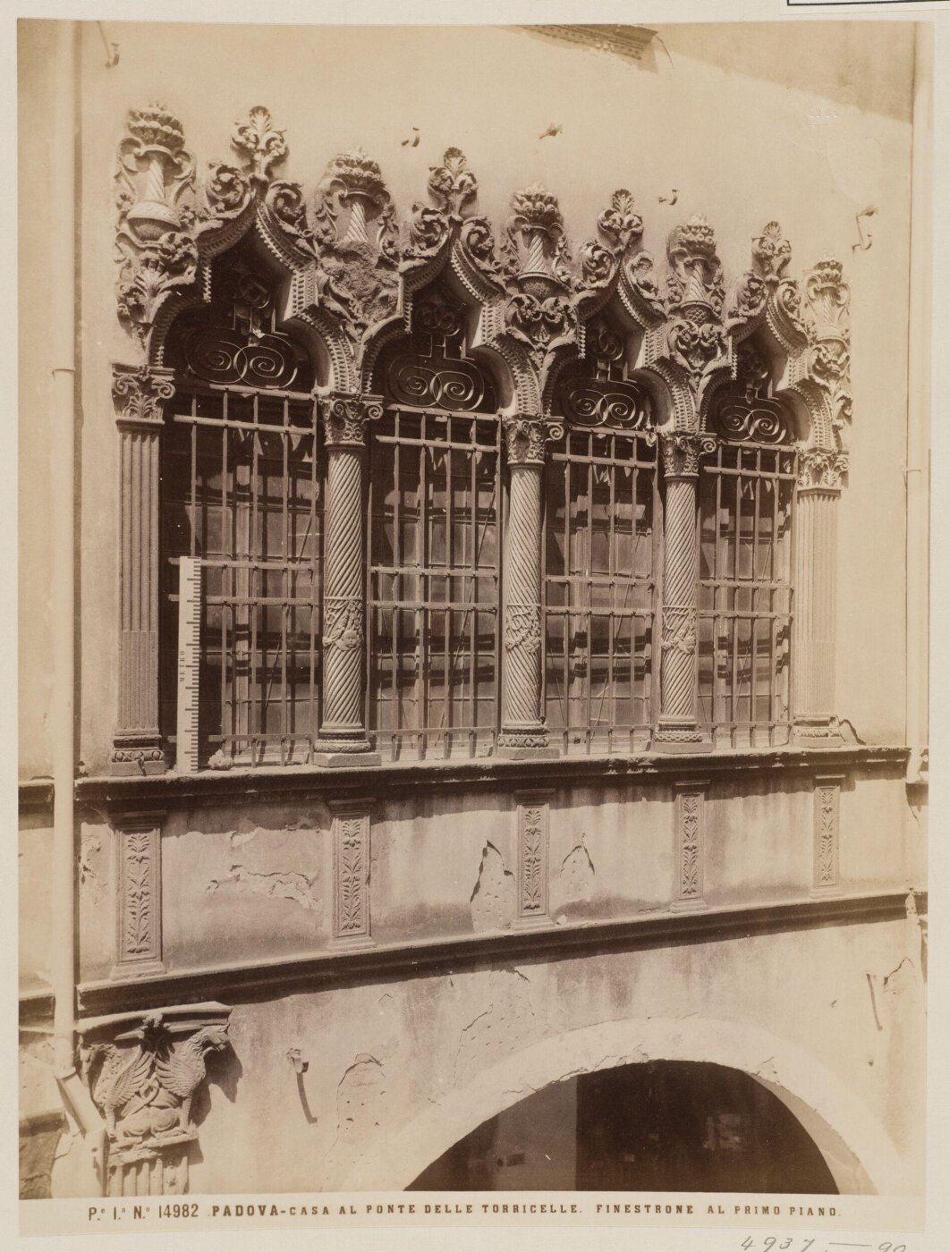 Fratelli Alinari, Photograph