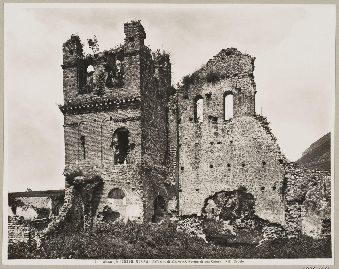 Fratelli Alinari, Photograph