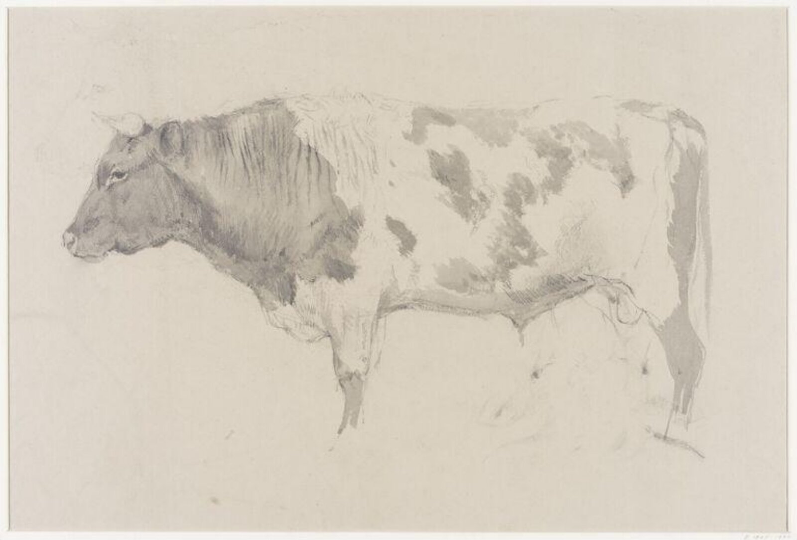 Drawing, Charles H Poingdestre, late 1880s