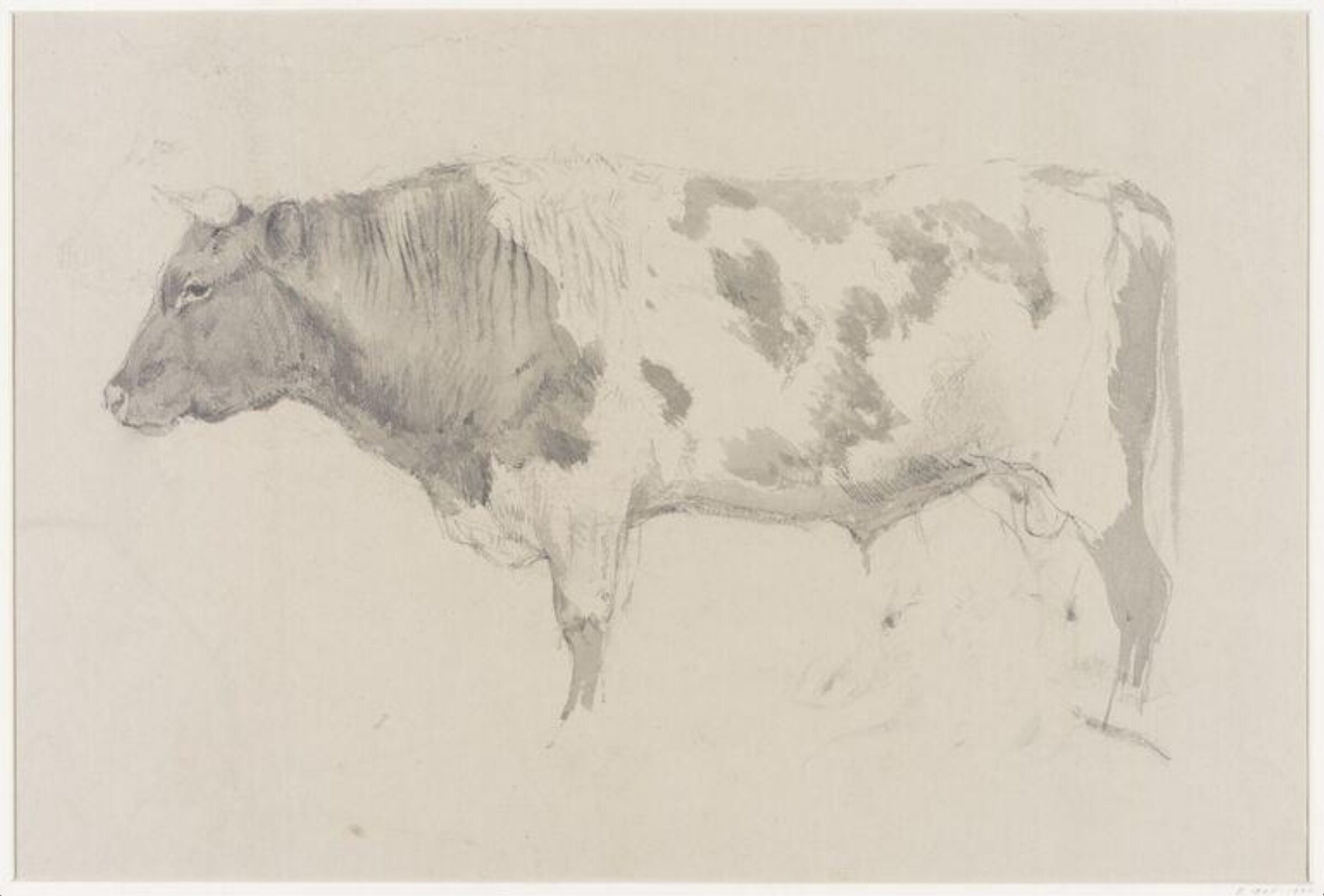 Drawing, Charles H Poingdestre, late 1880s