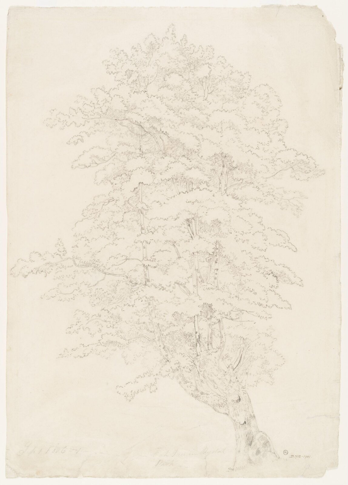 Drawing