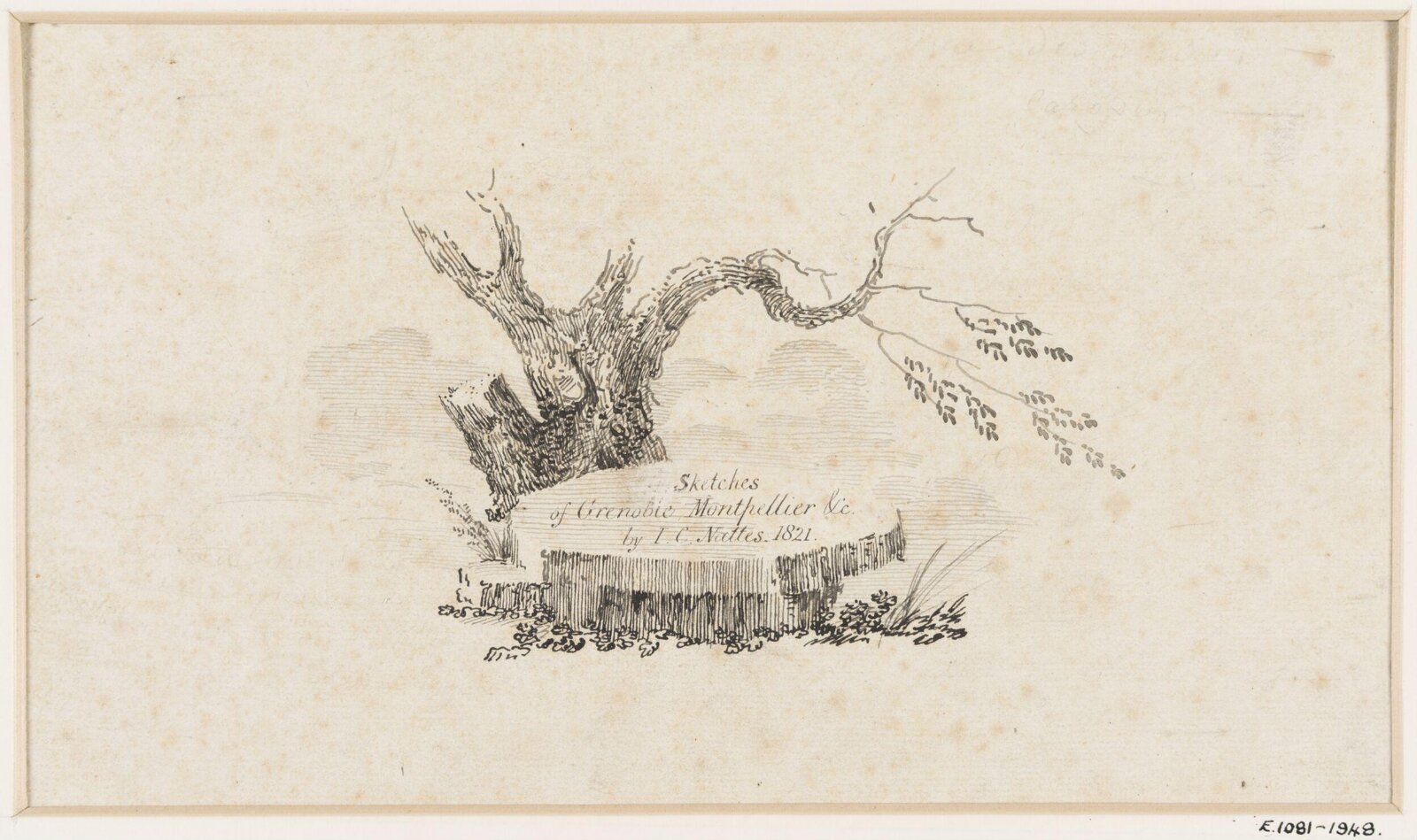 Drawing, Nattes, ca. 1765-1836