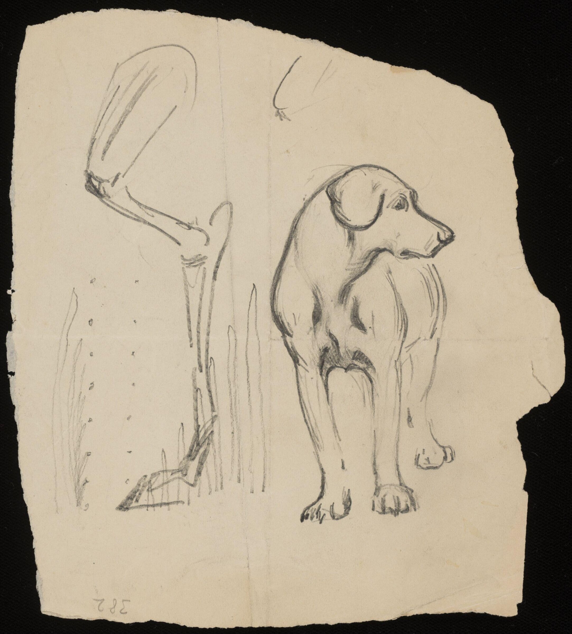 Drawing, Eric Forbes-Robertson, 1865-1935