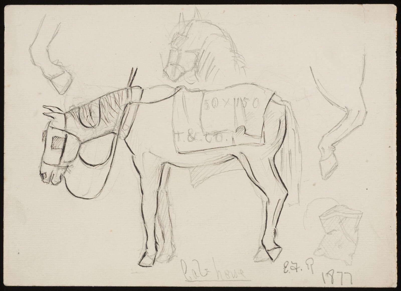Drawing, Forbes-Robertson, 1877
