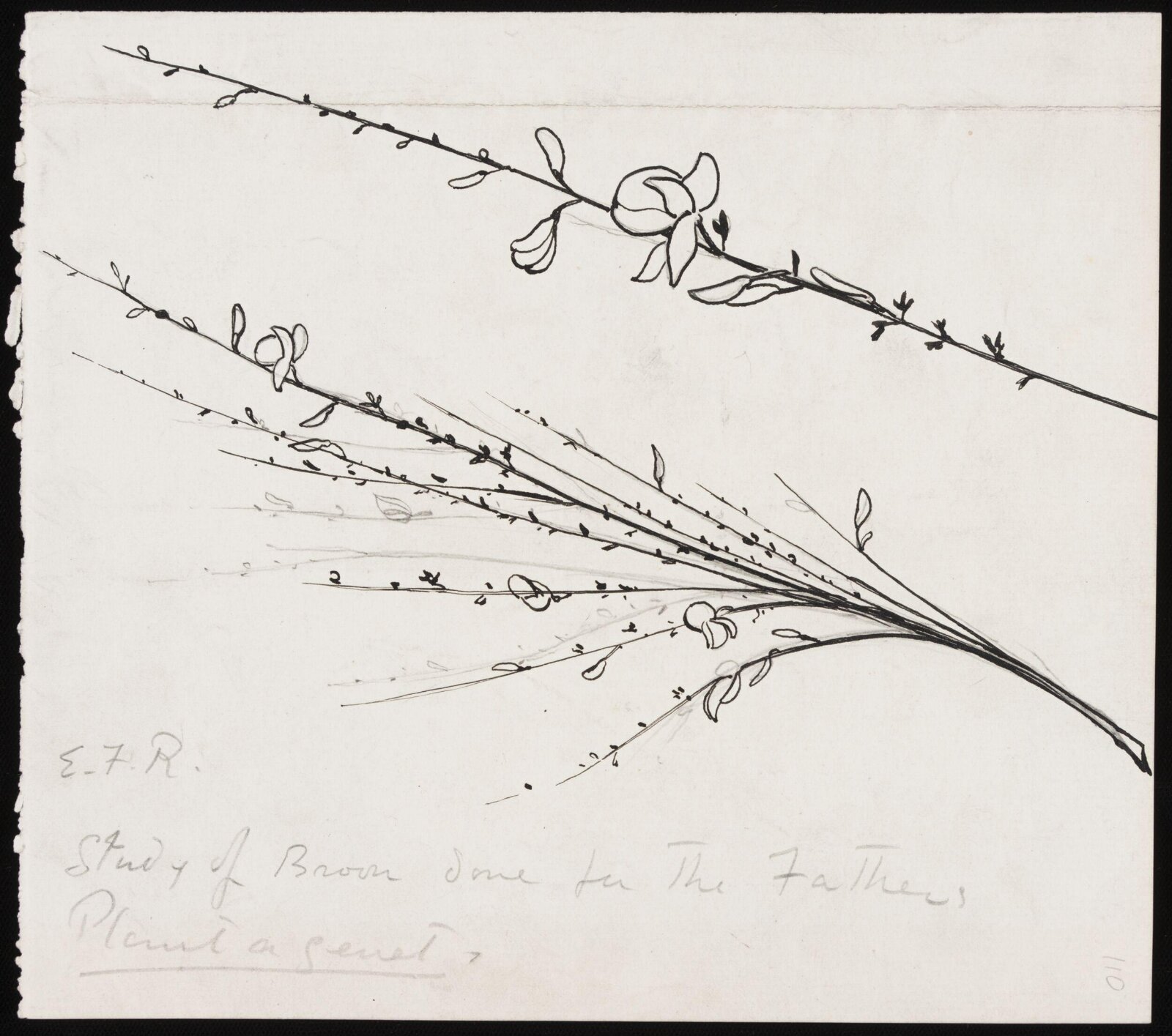 Drawing, Forbes-Robertson